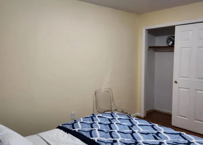 Modern Comfort